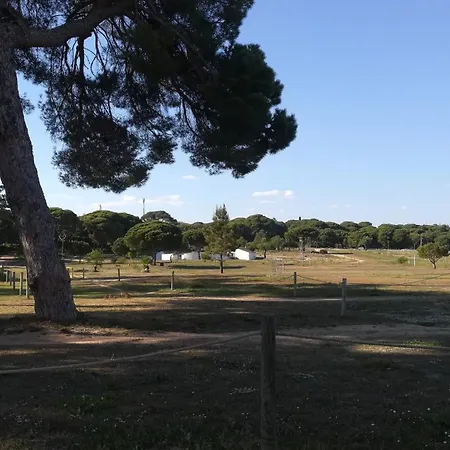 Appartement Falésia Alfamar